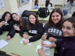 whatsapp image 2026-01-09 at 12.33.48 2